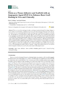 Fibrin As a Tissue Adhesive and Scaffold with an Angiogenic Agent (FGF-1) to Enhance Burn Graft Healing in Vivo and Clinically