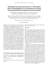 Methylation‑Associated Inactivation of LATS1 and Its Effect on Demethylation Or Overexpression on YAP and Cell Biological Function in Human Renal Cell Carcinoma