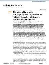 The Variability of Soils and Vegetation of Hydrothermal Fields in the Valley