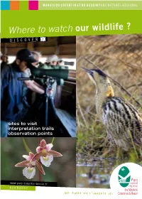 Where to Watch Our Wildlife ? D I S C O V E R