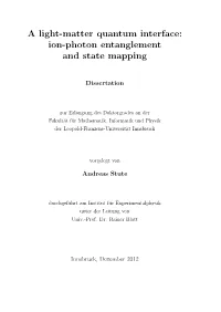 A Light-Matter Quantum Interface: Ion-Photon Entanglement and State Mapping