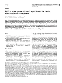 Assembly and Regulation of the Death Effector Domain Complexes