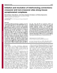 Initiation and Resolution of Interhomolog Connections: Crossover and Non-Crossover Sites Along Mouse Synaptonemal Complexes