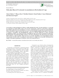 Molecular Basis of Carotenoid Accumulation in Horticultural Crops