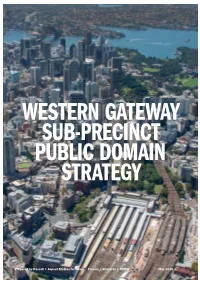 Western Gateway Public Domain Strategy