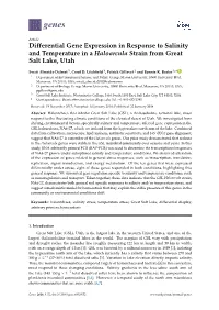 Differential Gene Expression in Response to Salinity and Temperature in a Haloarcula Strain from Great Salt Lake, Utah