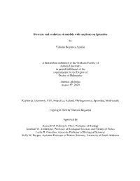Dissertation Bogantes May29.Pdf