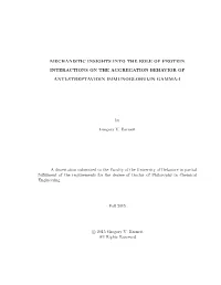 First Line of Title Second Line of Title
