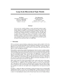 Large-Scale Hierarchical Topic Models