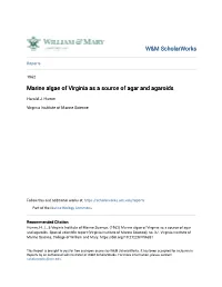 Marine Algae of Virginia As a Source of Agar and Agaroids