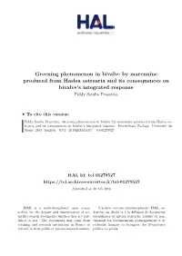 Greening Phenomenon in Bivalve by Marennine Produced from Haslea Ostrearia and Its Consequences on Bivalve's Integrated Resp