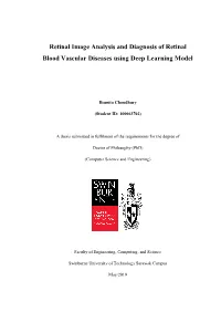 Retinal Image Analysis and Diagnosis of Retinal Blood Vascular Diseases Using Deep Learning Model