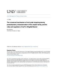 The Conserved Mechanism of Icsa Polar Targeting Among