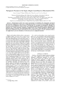 Phylogenetic Placement of the Pygmy Alligator Lizard Based on Mitochondrial DNA