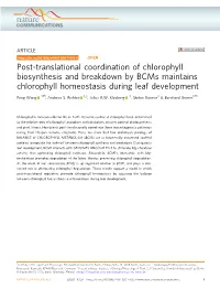 Post-Translational Coordination of Chlorophyll Biosynthesis And