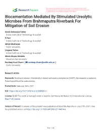 Biocementation Mediated by Stimulated Ureolytic Microbes from Brahmaputra Riverbank for Mitigation of Soil Erosion