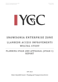 Consultancy Report Template
