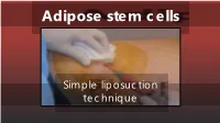 Stem Cells Powerpoint