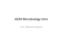 Igem Microbiology Intro