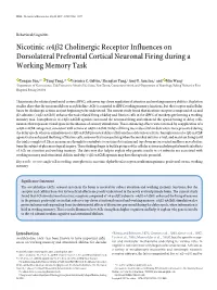 Nicotinic Α4β2 Cholinergic Receptor Influences on Dorsolateral Prefrontal Cortical Neuronal Firing During a Working Memory