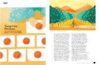 Tangerine Dreams Squeezed Into Whisky Or Steeped in a Bath— Japanese Citrus Works Its Magic on Adam H