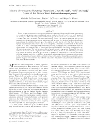 Meiotic Chromosome Dynamics Dependent Upon the Rec8 , Rec10