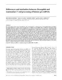 Differences and Similarities Between Drosophila and Mammalian 3¢ End Processing of Histone Pre-Mrnas