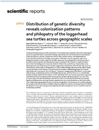 Distribution of Genetic Diversity Reveals Colonization Patterns And