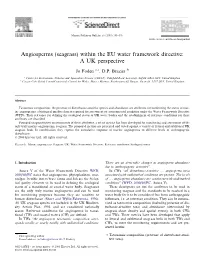 Seagrass) Within the EU Water Framework Directive: a UK Perspective