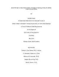BIOSYNTHETIC and FUNCTIONAL STUDIES of BACILLITHIOL in GRAM- POSITIVE BACTERIA by ZHONG FANG a Dissertation Submitted to The
