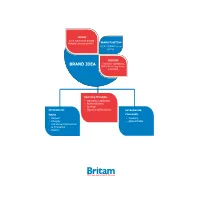 Britam-Annual Report-2013.Pdf