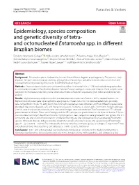 Epidemiology, Species Composition and Genetic Diversity of Tetra- and Octonucleated Entamoeba Spp. in Different Brazilian Biomes