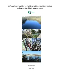 Report 7 R2R Insight Ecology June 2012