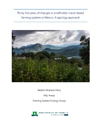 Thirty-Five Years of Changes in Smallholder Maize-Based Farming Systems in Mexico: a Typology Approach