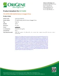 FTS (AKTIP) (NM 022476) Human Untagged Clone Product Data