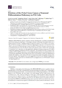 Deletion of the Prdm3 Gene Causes a Neuronal Differentiation Deficiency