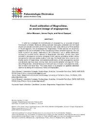Fossil Calibration of Magnoliidae, an Ancient Lineage of Angiosperms