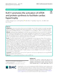 KLK11 Promotes the Activation of Mtor and Protein Synthesis To