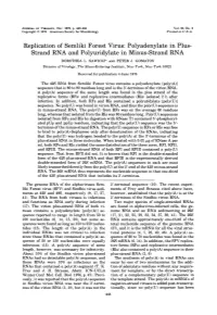 Replication of Semliki Forest Virus: Polyadenylate in Plus- Strand RNA and Polyuridylate in Minus-Strand RNA