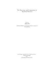 The Physiology and Computation of Pyramidal Neurons