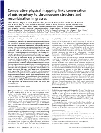 Comparative Physical Mapping Links Conservation of Microsynteny to Chromosome Structure and Recombination in Grasses