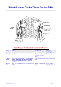 Triceps Exercises.Pdf