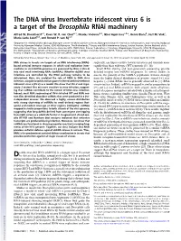 The DNA Virus Invertebrate Iridescent Virus 6 Is a Target of the Drosophila Rnai Machinery