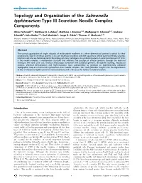 Topology and Organization of the Salmonella Typhimurium Type III Secretion Needle Complex Components