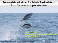 Food-Web Implications for Pelagic Top Predators: from Guts and Isotopes to Models