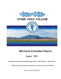 Mid Cycle Evaluation Report 2020