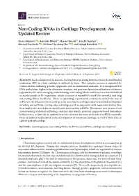 Non-Coding Rnas in Cartilage Development: an Updated Review