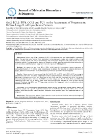 Oct2, BCL6, IRF8, OCAB and PU.1 in the Assessment of Prognosis In