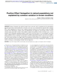 Position Effect Variegation in Natural Populations Not Explained by Common Variation in Known Modiﬁers