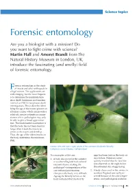 Forensic Entomology